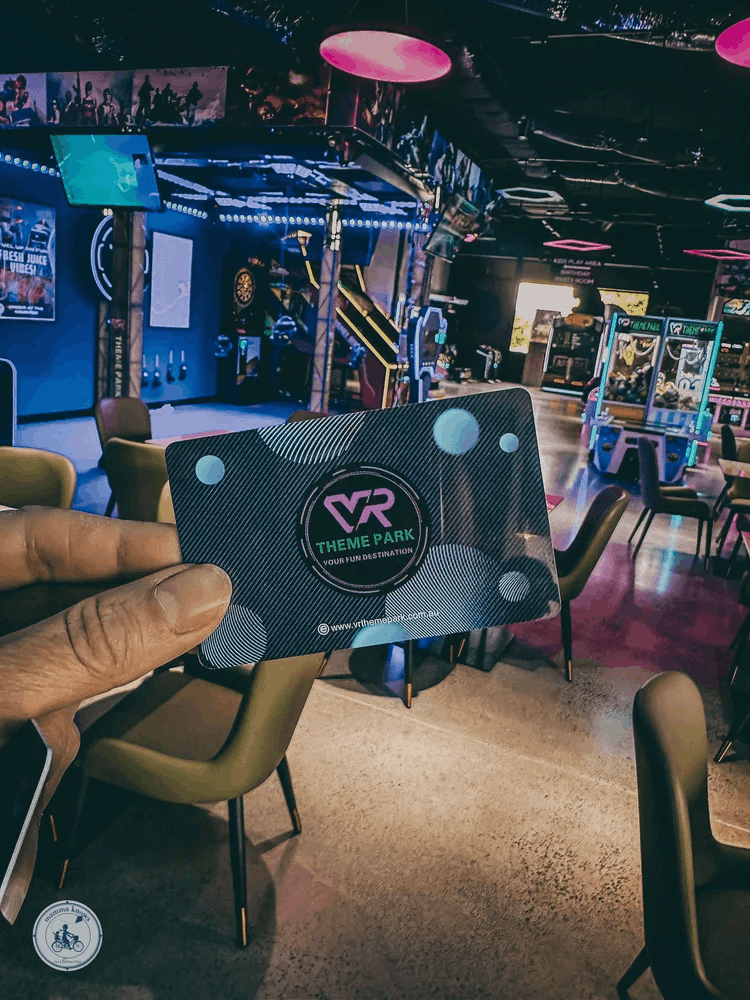 VR Theme Park - Immersive Play